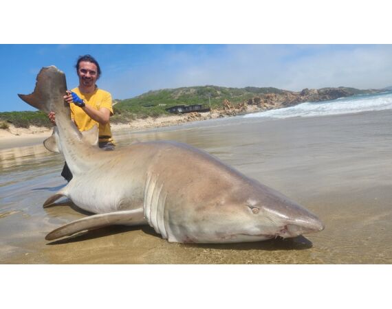 Zuid Afrika Mosselbaai nov 2026