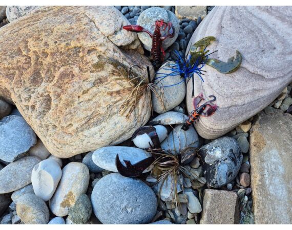 Spaanse bellyboat Black Bass