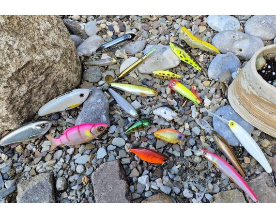 Spaanse bellyboat Black Bass