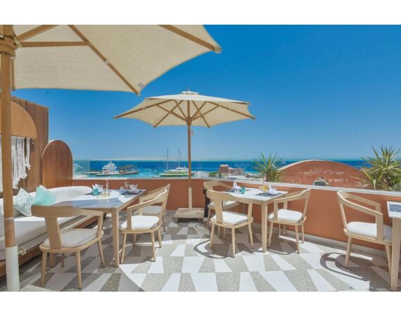 Nipro goes Egypt! mrt 26