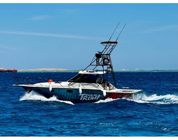 Nipro goes Egypt! mrt 26