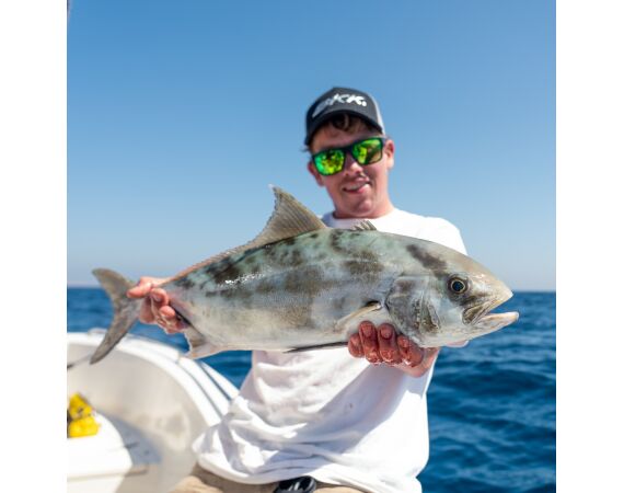 Nipro goes Egypt! mrt 26