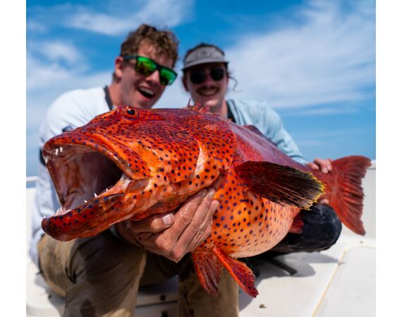 Nipro goes Egypt! mrt 26