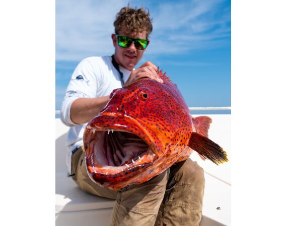 Nipro goes Egypt! mrt 26