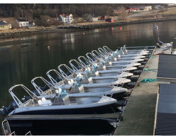 Rien de Wolf Noorwegen festival mei 2026