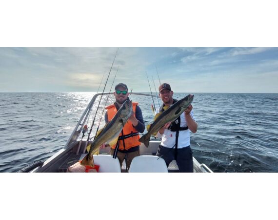 Rien de Wolf Noorwegen festival mei 2026