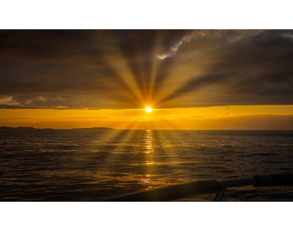 Rien de Wolf Noorwegen festival mei 2026