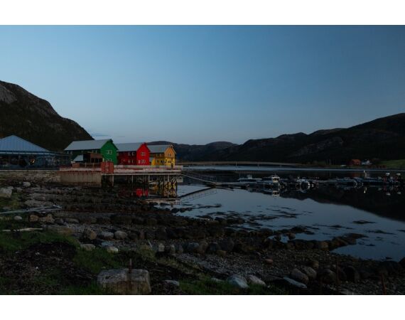 Rien de Wolf Noorwegen festival mei 2026