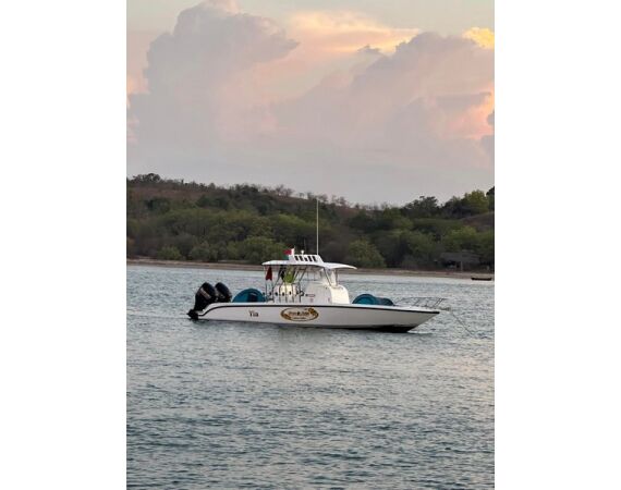 Fauna goes Madagascar! jan 27