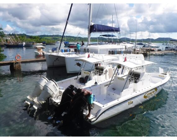 Fauna goes Madagascar! jan 27