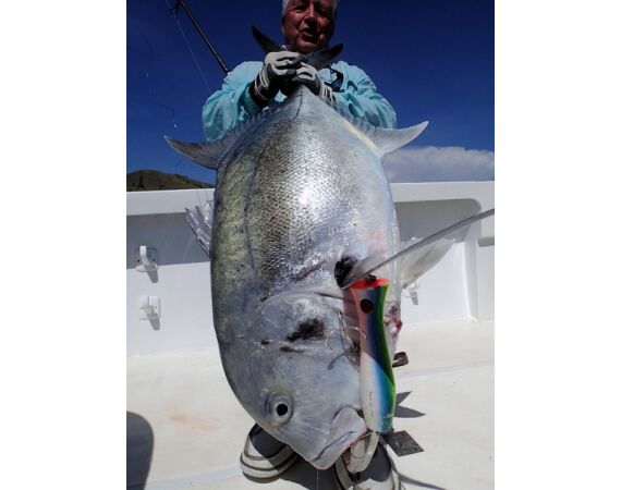 Fauna goes Madagascar! jan 27