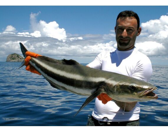 Fauna goes Madagascar! jan 27