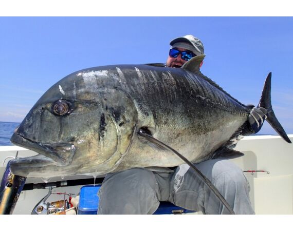 Fauna goes Madagascar! jan 27