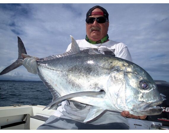 Fauna goes Madagascar! jan 27