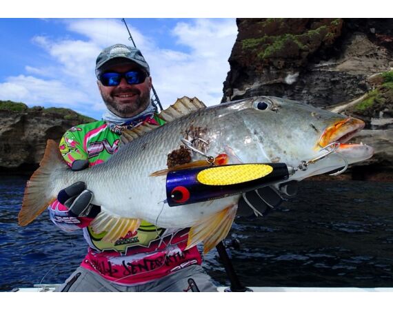 Fauna goes Madagascar! jan 27