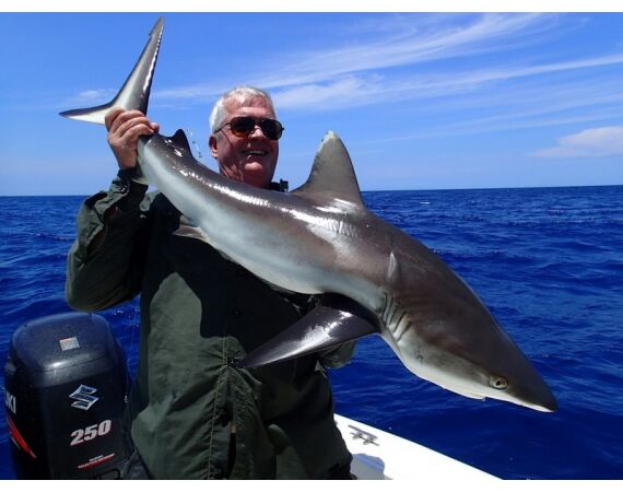 Fauna goes Madagascar! jan 27