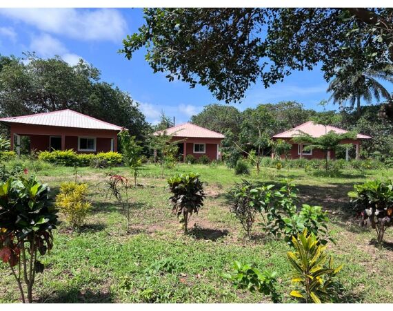 Guinee Bissau groep nov 26