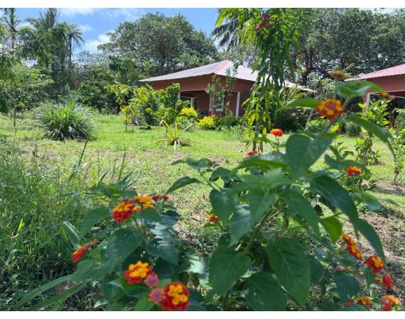 Guinee Bissau groep nov 26