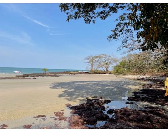 Guinee Bissau groep nov 26