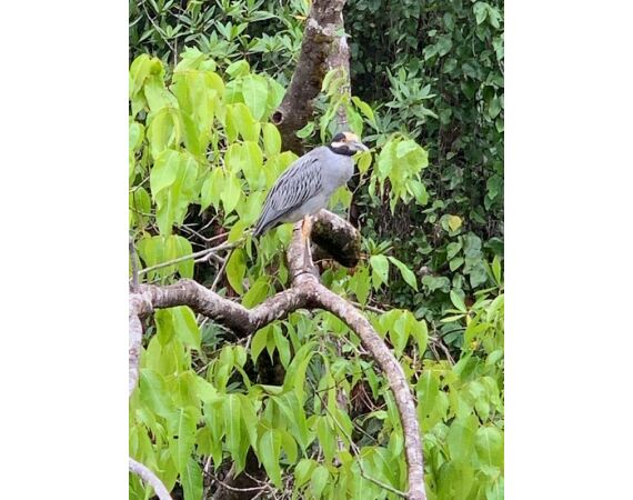 Guinee Bissau groep nov 26