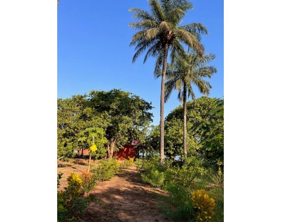 Guinee Bissau groep nov 26