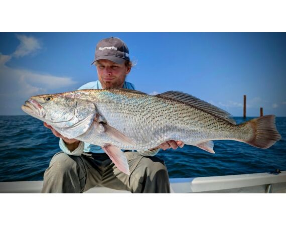 Guinee Bissau groep nov 26