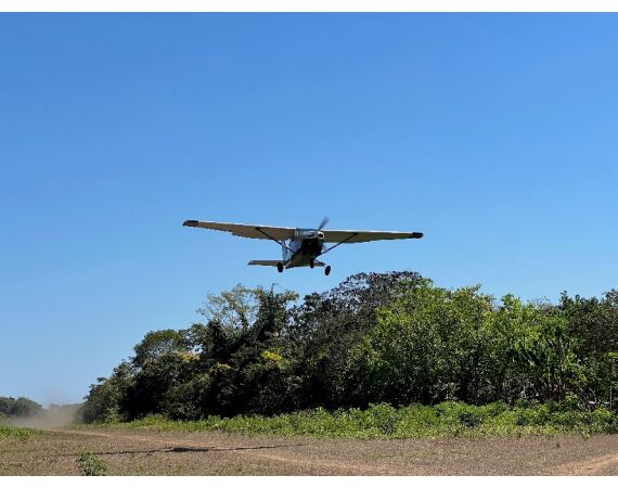 Arapaima Bolivia sep 2027