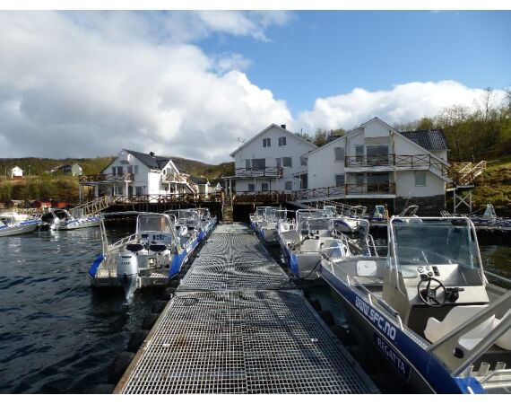 Nipro Noorwegen Festival sep 2027