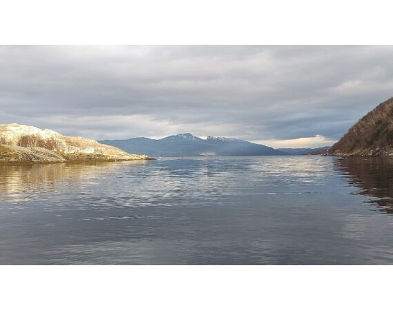 Nipro Noorwegen Festival sep 2027