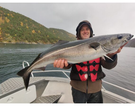 Nipro Noorwegen Festival sep 2027