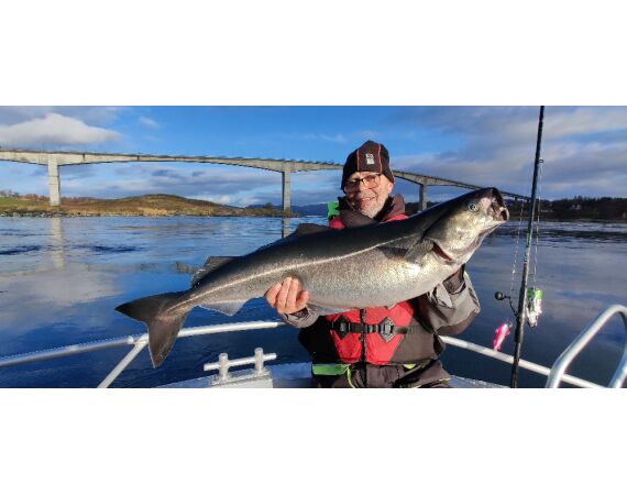 Nipro Noorwegen Festival sep 2027