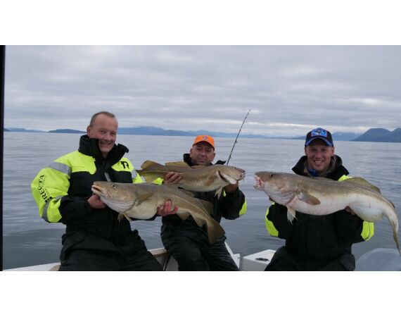 WVL Noorwegen Festival juni 27