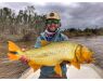 Argentinie, Golden Dorado