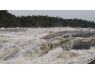Nile Perch Uganda mar 26