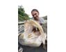 Nile Perch Uganda mar 26