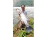 Nile Perch Uganda mar 26