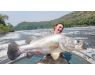 Nile Perch Uganda mar 26